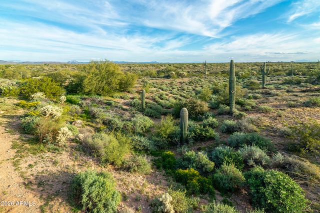 10439 E Trailhead Court, Gold Canyon, AZ 85118
