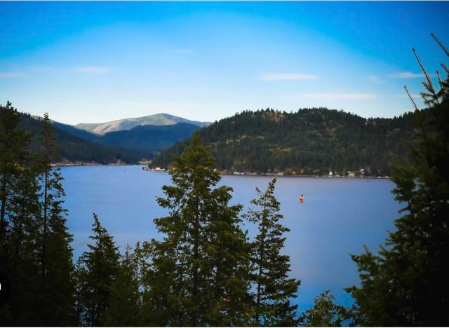 3800 W Bay #73&75 Rd, Loon Lake, WA 99148