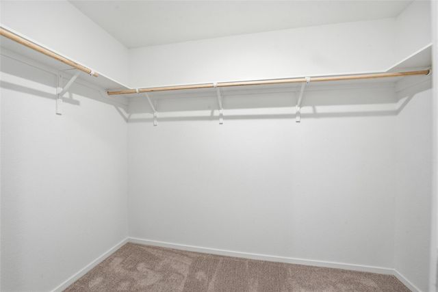 12048 Noble Wood Village Drive, Magnolia, TX 77354