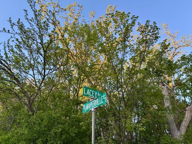 Lot 17 Lacey Avenue, Naperville, IL 60563
