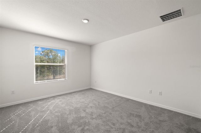 1393 COLT CREEK PLACE, Wesley Chapel, FL 33543