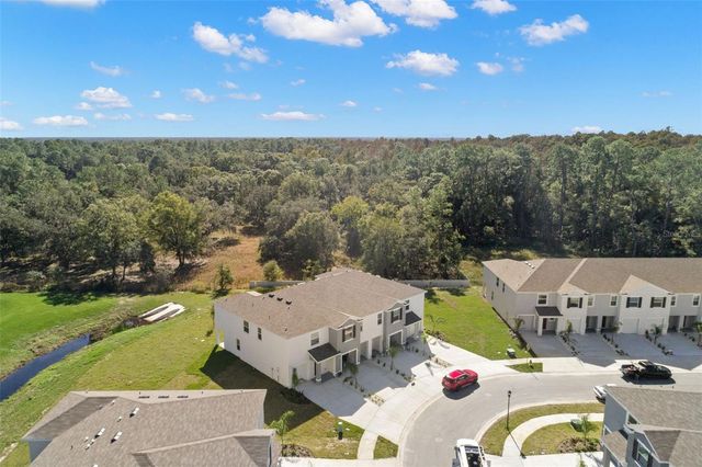 1393 COLT CREEK PLACE, Wesley Chapel, FL 33543