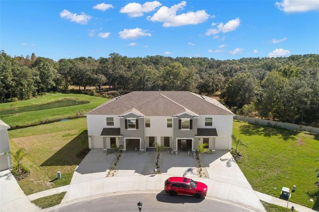1393 COLT CREEK PLACE, Wesley Chapel, FL 33543