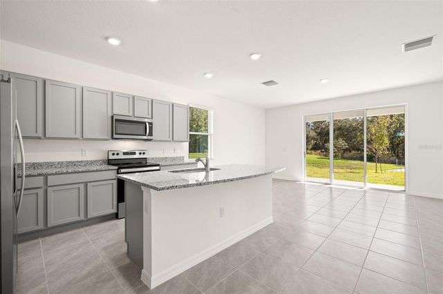 1393 COLT CREEK PLACE, Wesley Chapel, FL 33543