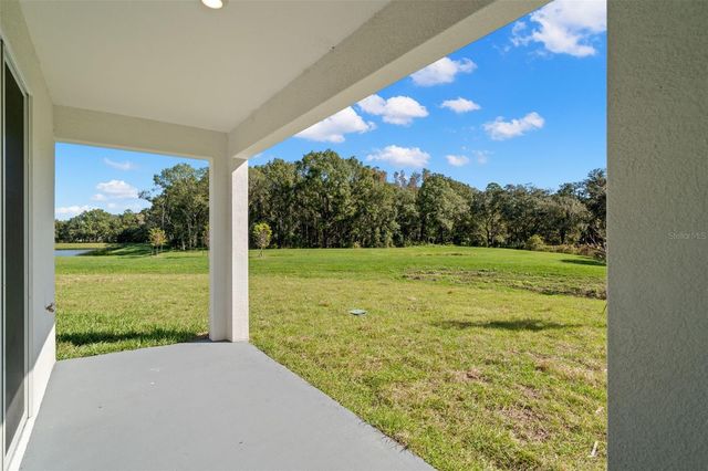 1393 COLT CREEK PLACE, Wesley Chapel, FL 33543