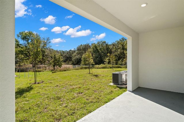 1393 COLT CREEK PLACE, Wesley Chapel, FL 33543