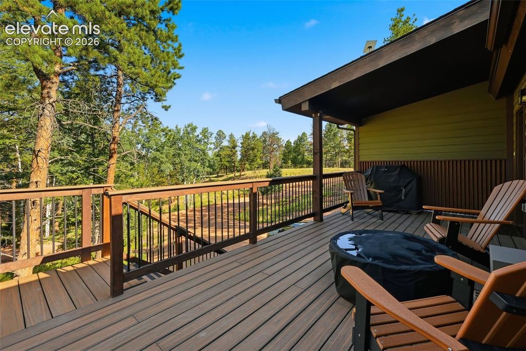 74 Buckskin Circle, Florissant, CO 80816 — photo 5
