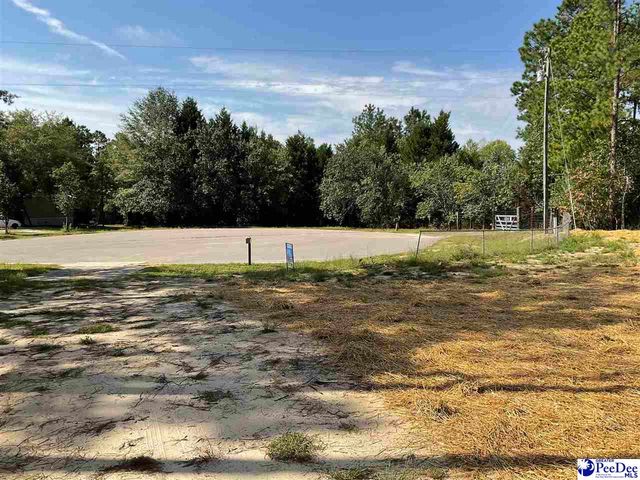 150 Branchview Rd, Hartsville, SC 29550