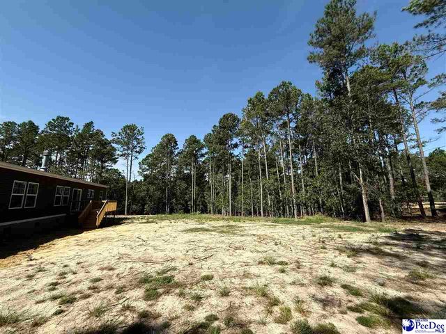 150 Branchview Rd, Hartsville, SC 29550