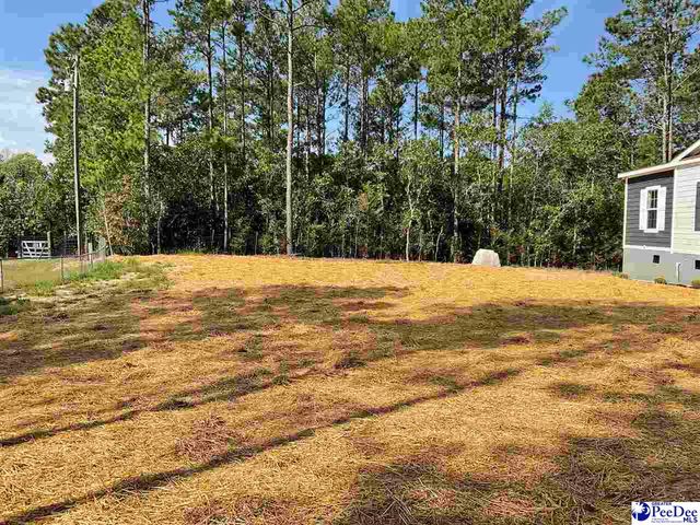 150 Branchview Rd, Hartsville, SC 29550