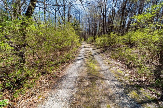 4450 Blood Road, Metamora, MI 48455