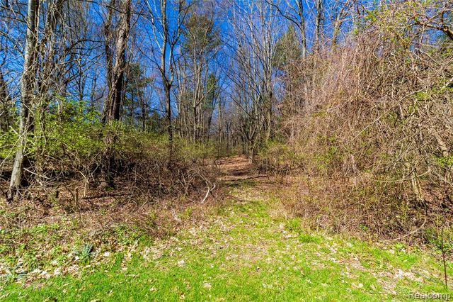 4450 Blood Road, Metamora, MI 48455