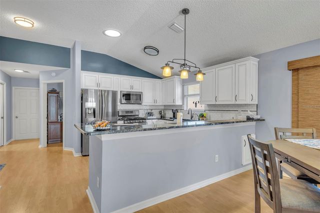 16867 SE 80TH ASHGROVE TERRACE, The Villages, FL 32162