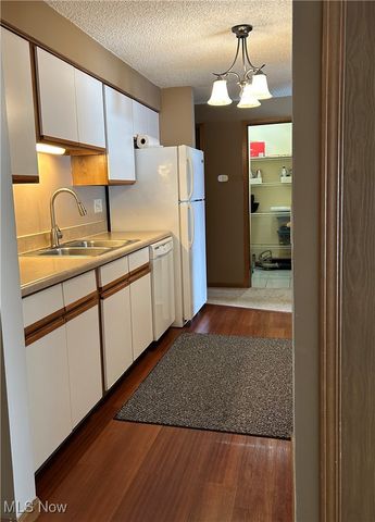 6231 Hidden Creek Drive 233, Lorain, OH 44053