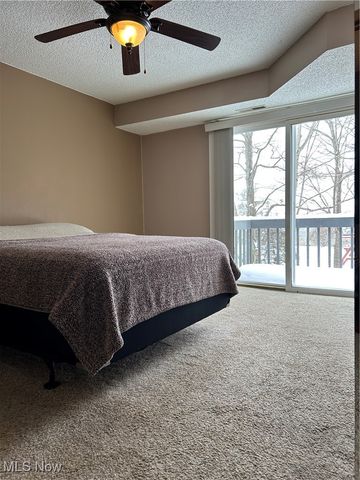 6231 Hidden Creek Drive 233, Lorain, OH 44053