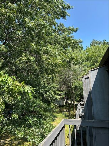 6231 Hidden Creek Drive 233, Lorain, OH 44053