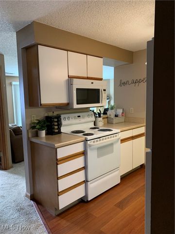 6231 Hidden Creek Drive 233, Lorain, OH 44053