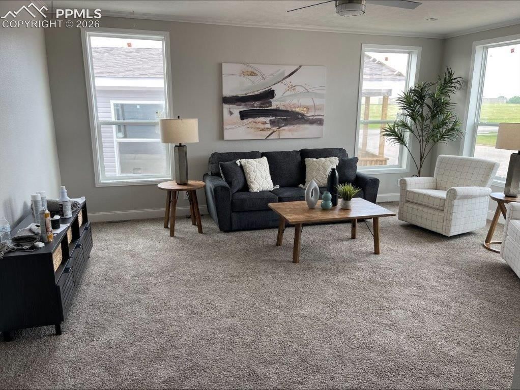 812 Iowa Avenue, Colorado Springs, CO 80909 — photo 2