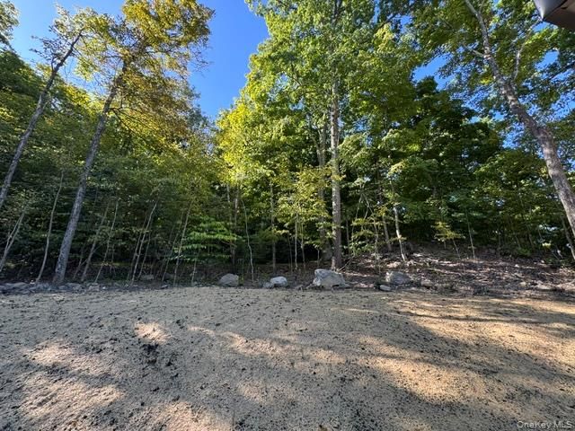 9 Union School Road, Montgomery, NY 12549