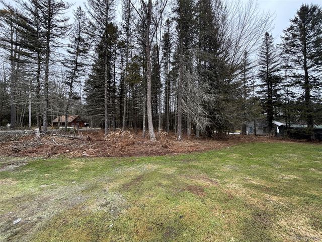 130 Bushville Swan Lake Road, Ferndale, NY 12734