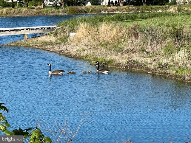 24965 BACK CREEK DR, St Michaels, MD 21663