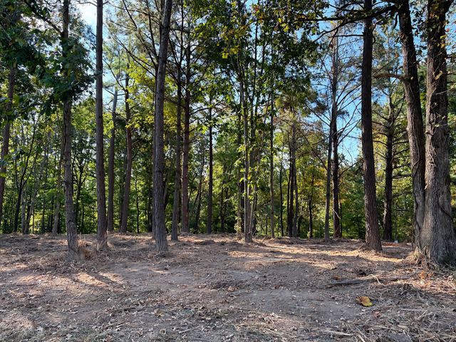 0 Liberty Rd, Fairview, TN 37062