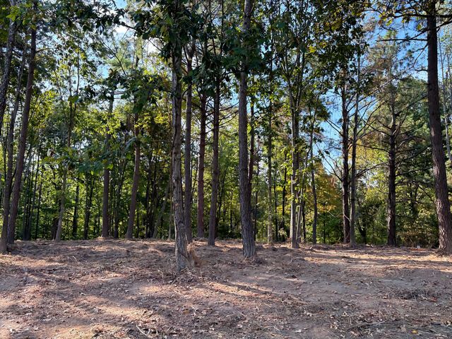 0 Liberty Rd, Fairview, TN 37062