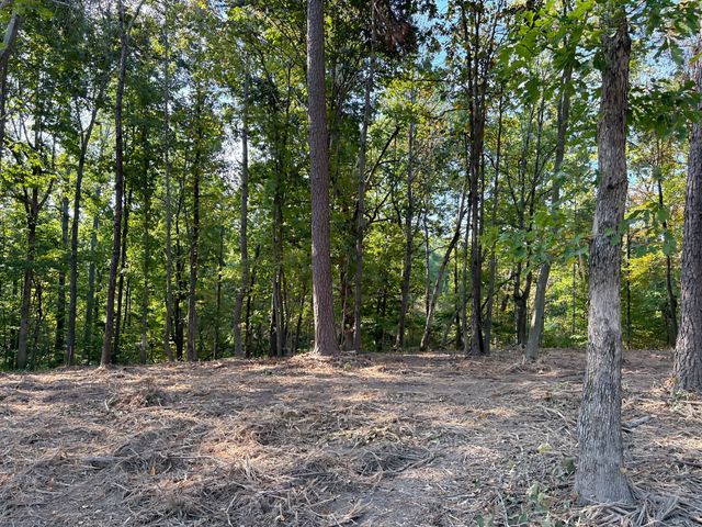 0 Liberty Rd, Fairview, TN 37062