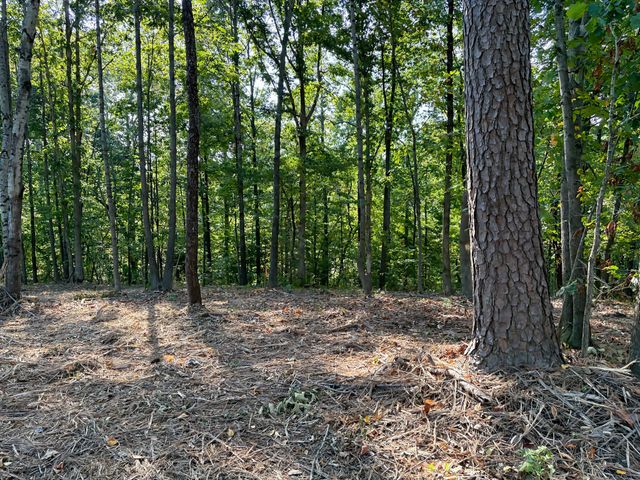 0 Liberty Rd, Fairview, TN 37062