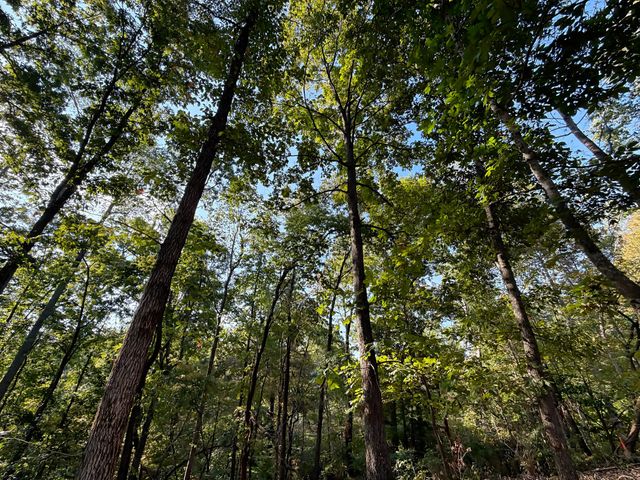 0 Liberty Rd, Fairview, TN 37062
