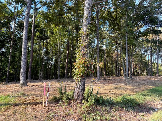 0 Liberty Rd, Fairview, TN 37062