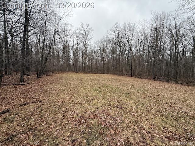 10452 E Maple Avenue, Atlas Township, MI 48423