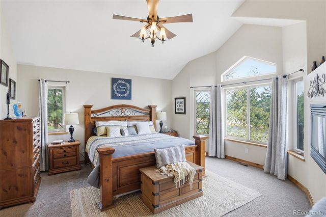 220 Eagle Pines Drive, Woodland Park, CO 80863