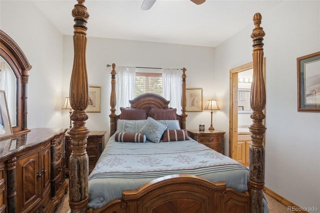 220 Eagle Pines Drive, Woodland Park, CO 80863