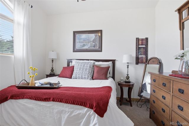 220 Eagle Pines Drive, Woodland Park, CO 80863