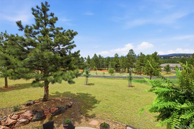 220 Eagle Pines Drive, Woodland Park, CO 80863