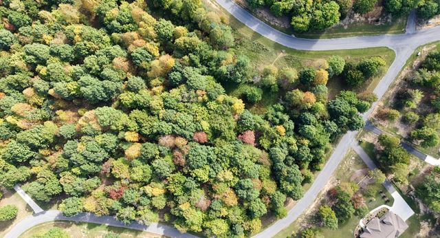 0 Roaring Creek Road Lot 297, Dunlap, TN 37327