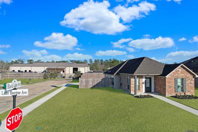 28350 Lake Borgne Dr, Livingston, LA 70754