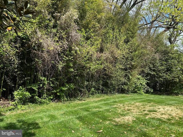 6710 MOLY DR, Falls Church, VA 22046
