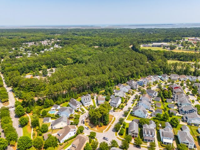 3732 Abercrombie Court, Mount Pleasant, SC 29466
