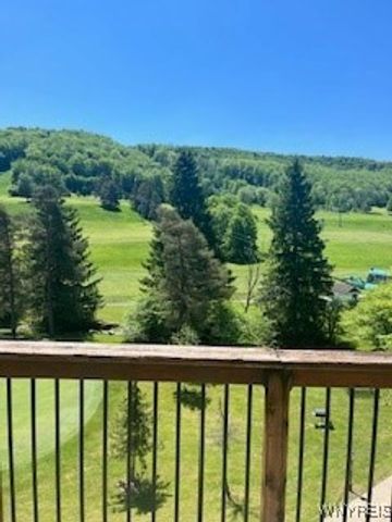 6447 Holiday Valley Road 425427-1, Ellicottville, NY 14731