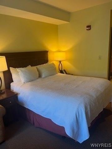 6447 Holiday Valley Road 425427-1, Ellicottville, NY 14731