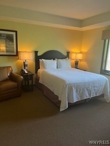 6447 Holiday Valley Road 425427-1, Ellicottville, NY 14731