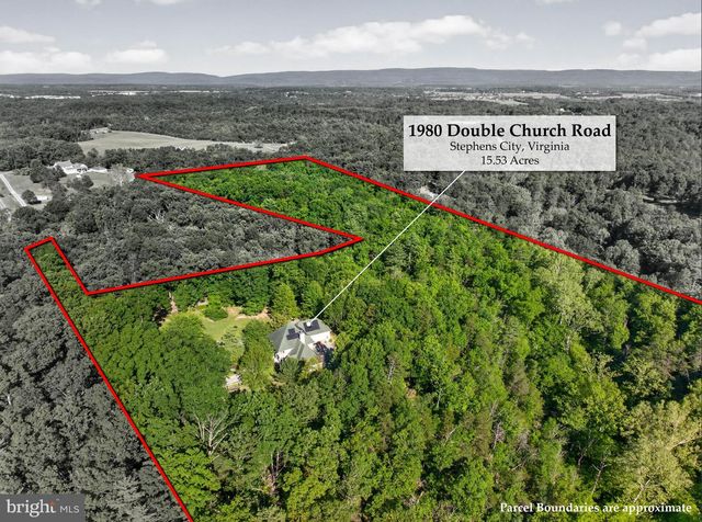 1980 DOUBLE CHURCH RD, Stephens City, VA 22655