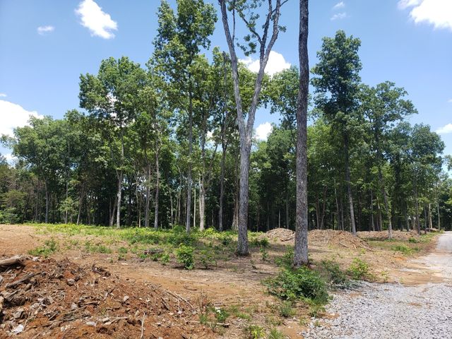 4821 Kedron Rd, Spring Hill, TN 37174