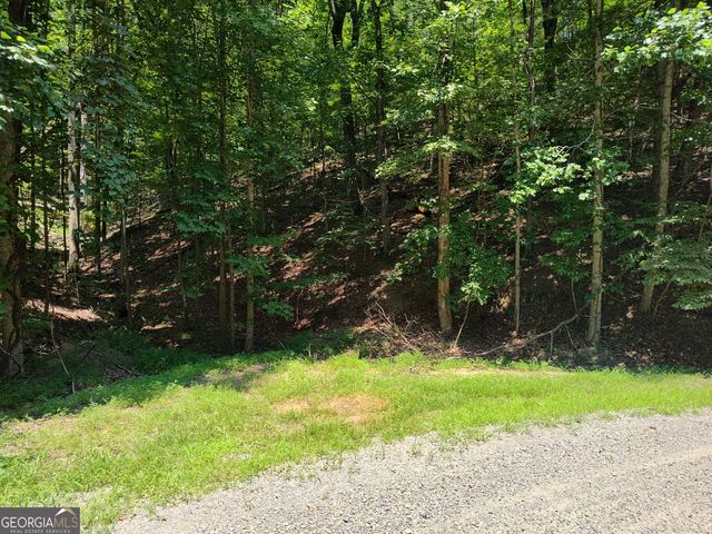 560 Neptune Circle, Ranger, GA 30734