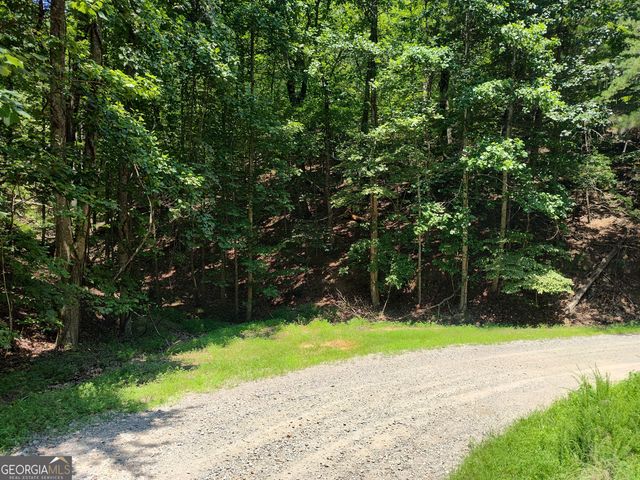 560 Neptune Circle, Ranger, GA 30734