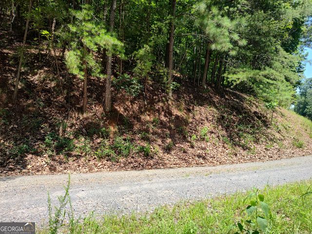 560 Neptune Circle, Ranger, GA 30734