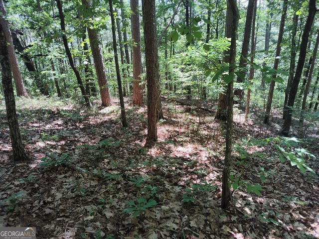 560 Neptune Circle, Ranger, GA 30734