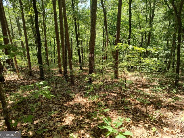 560 Neptune Circle, Ranger, GA 30734